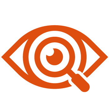 vision
